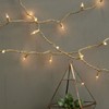 Brite Star 50 Count Designer Series Light Set, Clear, Champagne