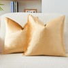 GriNeed Throw Pillow Covers Gold Set of 2 20x20 Inch
