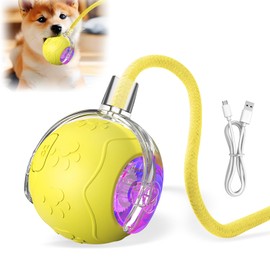 TRWLCFF Interactive Cat Toys Ball for Indoor Cats, 2025 Newly Upgraded Automatic Rolling Balls, Moving Cat Ball with Elastic Mesh Tail, Kitten Toys for for Bored Indoor Adult Cats/Dog (Yellow)