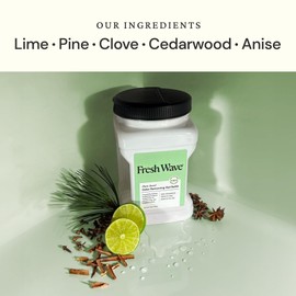 Fresh Wave Original Scent Odor Removing Gel Refill, 63 oz. | Safer Odor Absorbers for Home, Cooking, Trash, & Pets Areas | Natural Plant-Based Odor Eliminator