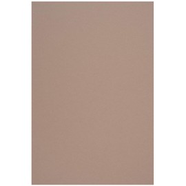 Netuno 10 Sheets Natural Cardboard Light Brown DIN A4 21 x 29.7 cm 250 g Crush Almond Eco Vintage Retro Craft Paper for Weddings Christmas Easter Birthday Invitations Business Cards Labels Flyer