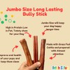 FETCH & FUN BULLY STICKS - Extra Thick 6 Inch
