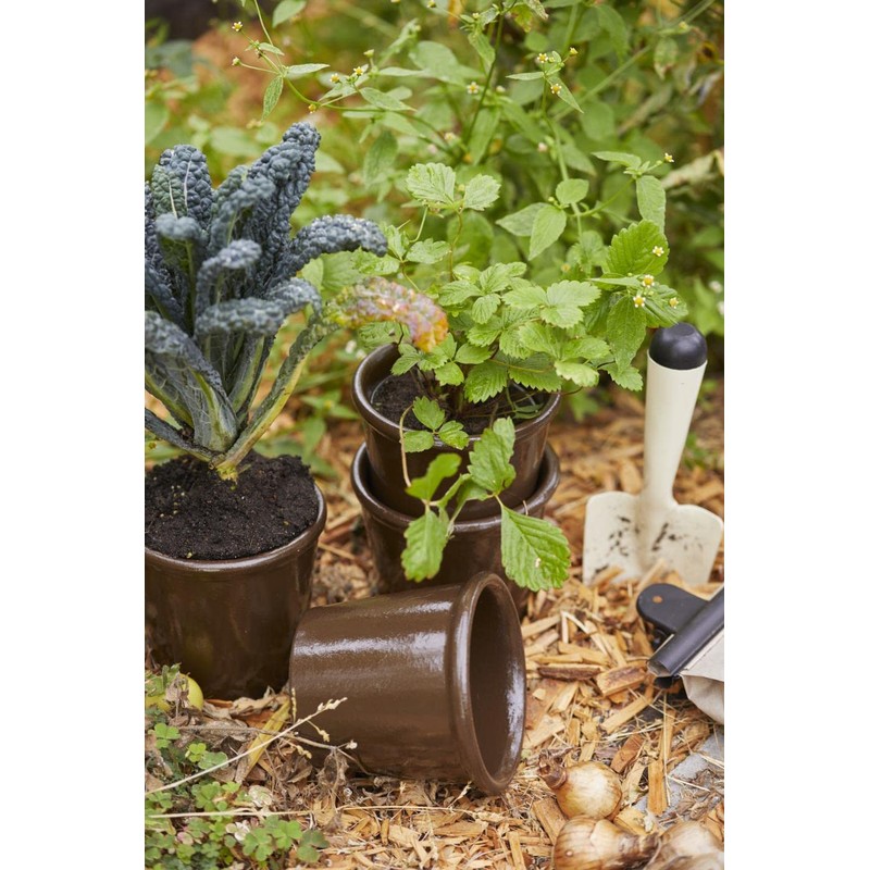 IB Laursen Plant Shovel Cream