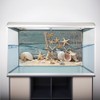 3D Effect Adhesive Seashell Starfish Poster for Aquarium Fish Tank