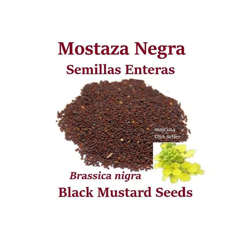 majcka4 MOSTAZA NEGRA entera 7 oz Hierbas BLACK MUSTARD SEEDS