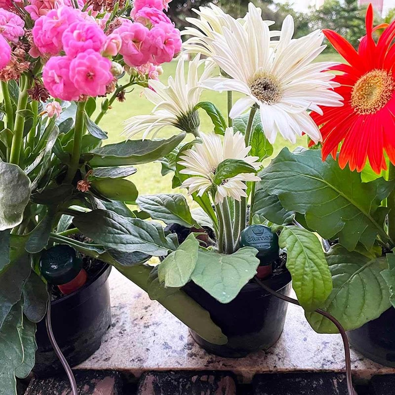 Blumat Inline Classic