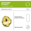 LifeWize® Artichoke High Dose Capsules - Real 5:1 Artichoke Extract