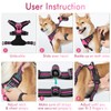 rabbitgoo Dog Harness Large Dog No Pull Pet Harness with