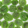 Smarty Stop Dried Fruits Great Healthy Snack (Dried Kiwi, 2
