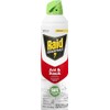 Raid Essentials Ant and Roach Killer Aerosol Spray, Child and