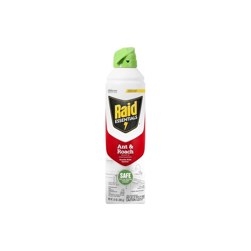 Raid Essentials Ant and Roach Killer Aerosol Spray, Child and
