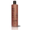 Kit Anticaida Shampoo Ampolletas Todo Tipo Cabello