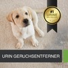 ECODOR UF2000 4Pets Urine Odour Neutraliser 500 ml Powerful Formula