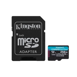 Kingston 256GB Canvas Go Plus microSDXC Card | Up to 170MB/s | UHS-I, C10, U3, V30, A2/A1 | with Adapter | SDCG3/256GB