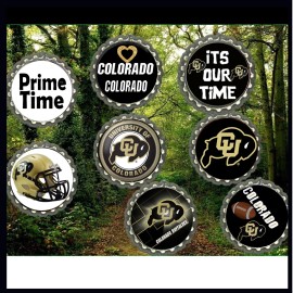 Colorado Buffalo Buffaloes 8 magnets  refrigerator dorm room  locker collector