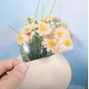WJINNG 5-Pack (2 Magnifying Sheets for Reading 5x7 + 2