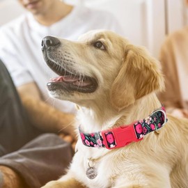 Small Dog Collar, Quick Release Plastic Buckle Girl's Dog Collar, Durable Pretty Floral Female Cat Collar for XS Small Medium Large X-Large Dogs Walking Training(bouquet,XS)