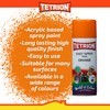 Tetrion Easy Spray Paint – Orange 400ml, Acrylic All-Purpose Spray
