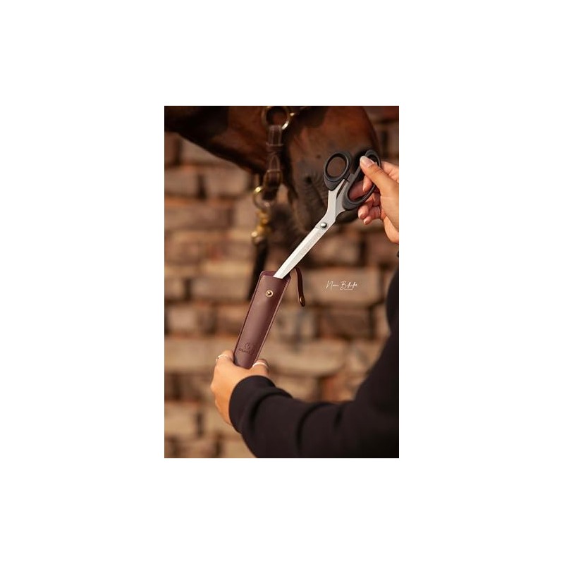 Tail Scissors – Horse Scissors in Stainless Steel