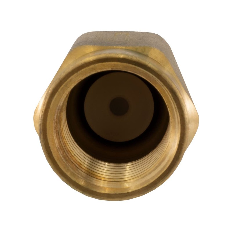 RecPro RV 1/2" Back Flow Preventer with Check Valve