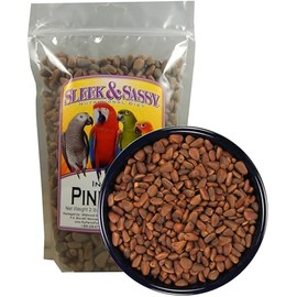 SLEEK & SASSY in-Shell Pine Nuts for Birds (32 oz.)