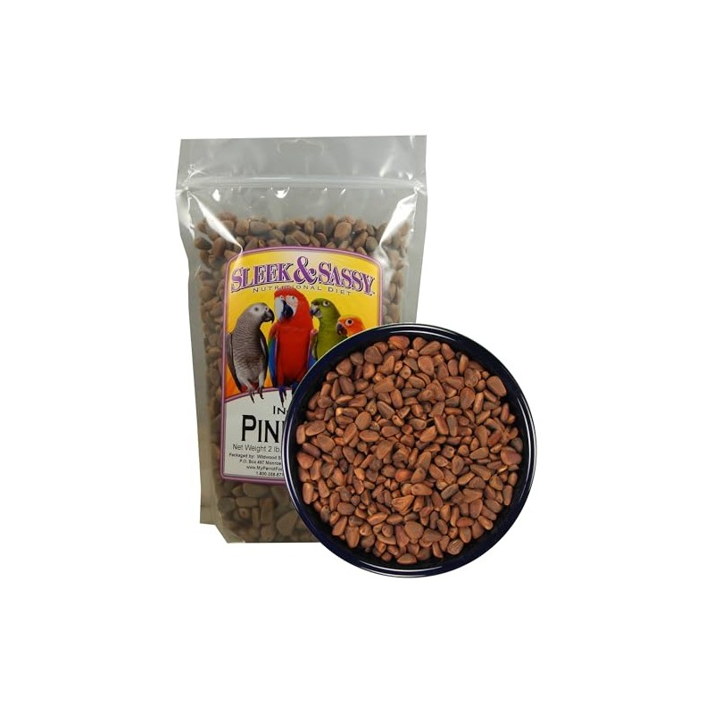 SLEEK & SASSY in-Shell Pine Nuts for Birds (32 oz.)
