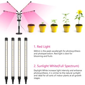 Grow Lights for Indoor Plants, Four Head LED Grow Light with Full Spectrum, Red White Spectrum for Indoor Plant Lamp, Adjustable Gooseneck, Suitable for Vegetation