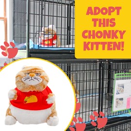 Attatoy Chonky Kitten Plush, Mini Fat Kitty Cat Stuffed Animal Toy