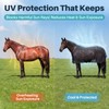 Hsei Horse Fly Sheet Black Mesh Breathable UV Protection Summer
