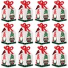 Big Dot of Happiness Red and Green Holiday Gnomes -
