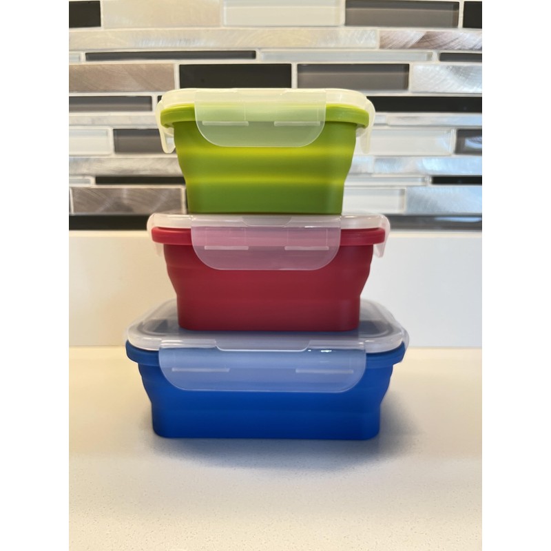 Roaming Cooking Collapsible Silicone Food Storage Container Combo pack (Multi