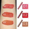Cezanne Watery Trip 02 Coral Red 4.0g Tint Formula Luster