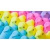 Peeps Chicks - Yellow, Blue, Lavender, & Pink - Gift