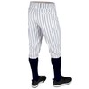 CHAMPRO Men's Standard Triple Crown 2.0 Baseball Knickers with Pinstripes,