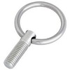 Mizumoto Stainless Steel Ring Bolt (mm Screw) Screw Diameter M-12 B775