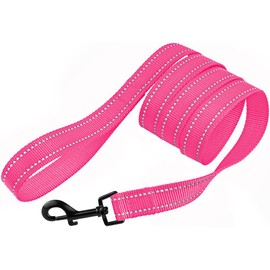 CollarDirect Nylon Dog Leash 1.5M Daily Walking Running Training Durable Reflective Leash for Large Medium Small Dogs