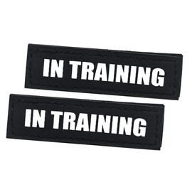 2Pack Service Dog Patch, Black Patches with Hook Backing for Dog Harness, Removable Vest Patches for Dogs, in Training-M