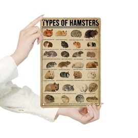 Homely Accents Types Of Hamsters Metal Signs, Vintage Educational Poster Tin Signs for Farmhouse Bathroom, Cafe Bar Wall Decor Gift for Hamster Enthusiasts Kids 8x12 Inches