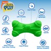 Hartz DuraPlay Bone Squeaky Latex Dog Toy, Large, 3 Pack
