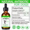 Antibiotics for Dogs, Natural Dog Antibiotics Drops, 60ml