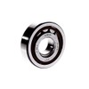 SKF Cylindrical Radial Roller Bearing, 25 ID, Bearing steel