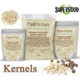 Moringa Seeds Kernel Shelled 2 lbs. Wide Mouth Jar - Clean PKM1 Variety - Edible - Moringa Oleifera - Malunggay - Semillas De Moringa - Drumstick Tree - Non-GMO - 4000 to 4800 Seeds Approx.