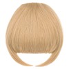 Bangs Hair Clip in Bangs Hair Extensions Synthetic Flat Bang