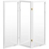 4 ft. Short Clear Plastic Partition White 3 Panel