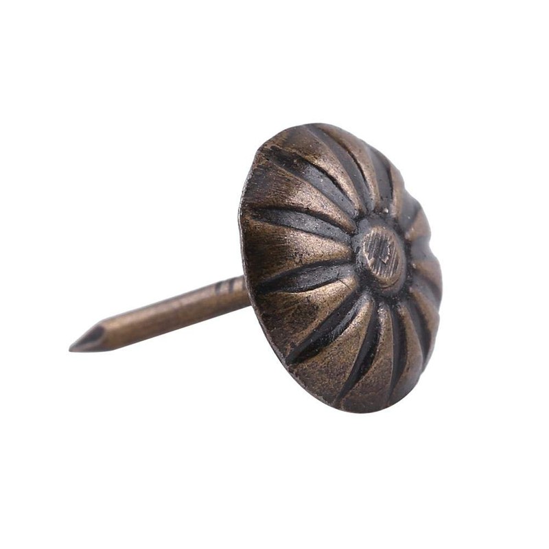 Qiilu [100 pieces] Push Pins, Push Tacks, Iron Pins Clips,