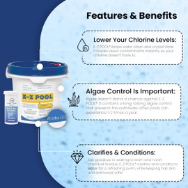 EZ Pool Concentrated Pool Blend Water Care 5 lb with Test Strips