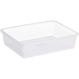Rotho Linus 1719100096 Storage Box Plastic Transparent