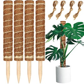 JJGoo Moss Pole, Coco Coir Totem Pole, 50 inch Moss Stick, Plant Support, Plant Stakes, 4 Pack 15.7 Inch Coco Coir Moss Poles for Potted Plants Climbing Plants Monstera