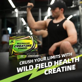 3-in-1 Creatine Monohydrate Stickpacks – Micronized Powder with Zinc & Magnesium, Portable Lime Flavor, Supports Muscle Growth, Energy & Recovery