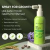 Svvimer Hair Growth Serum Spray - with Rosemary Batana Oil